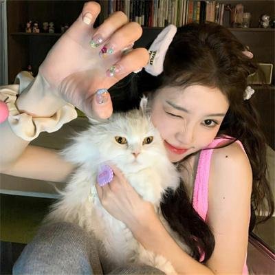 波特莱尔的冒险